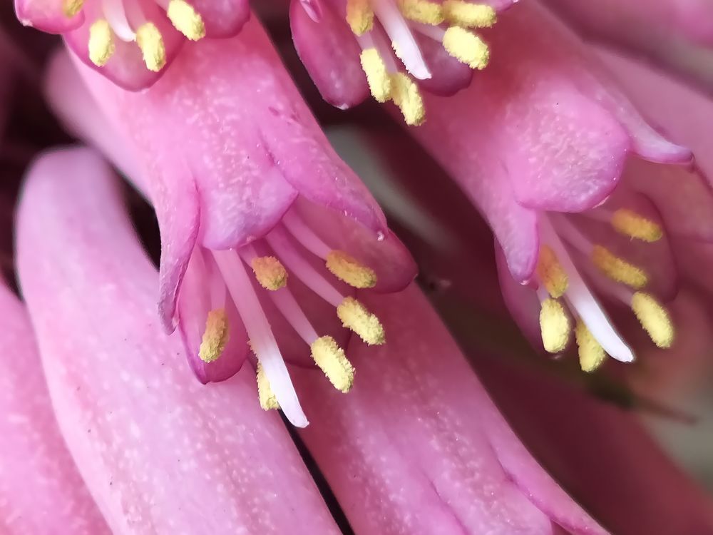 Фотография автора Bernadette Pretorius