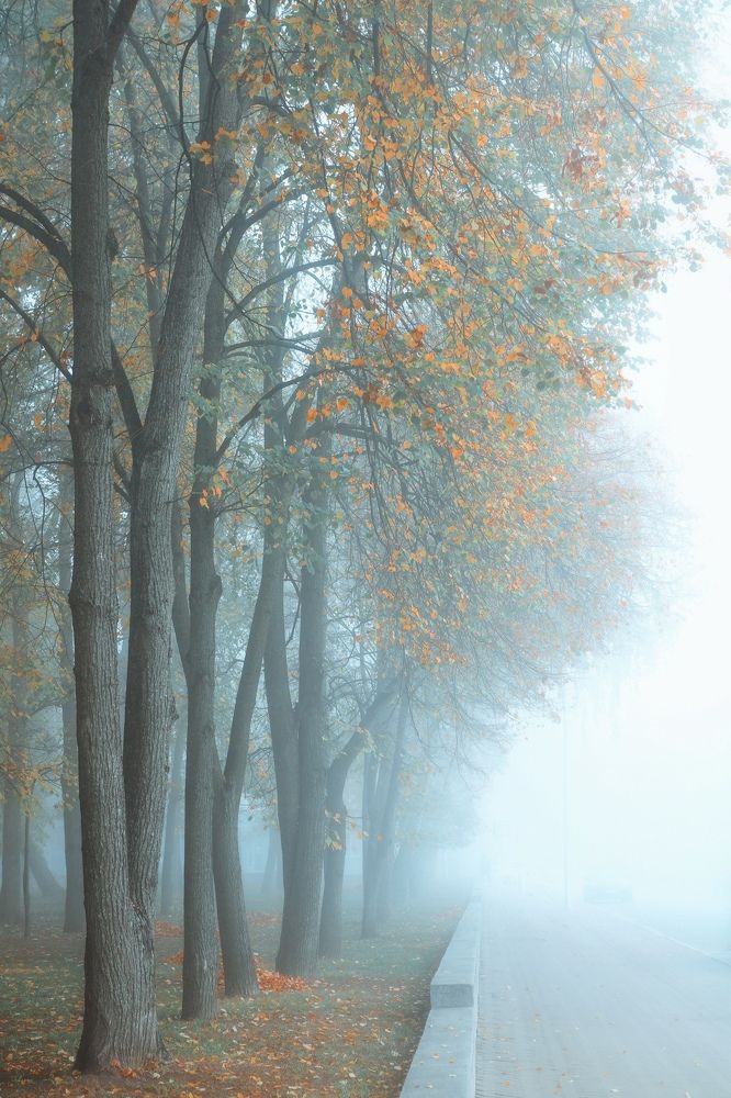 Photograph by Олеся Постнова