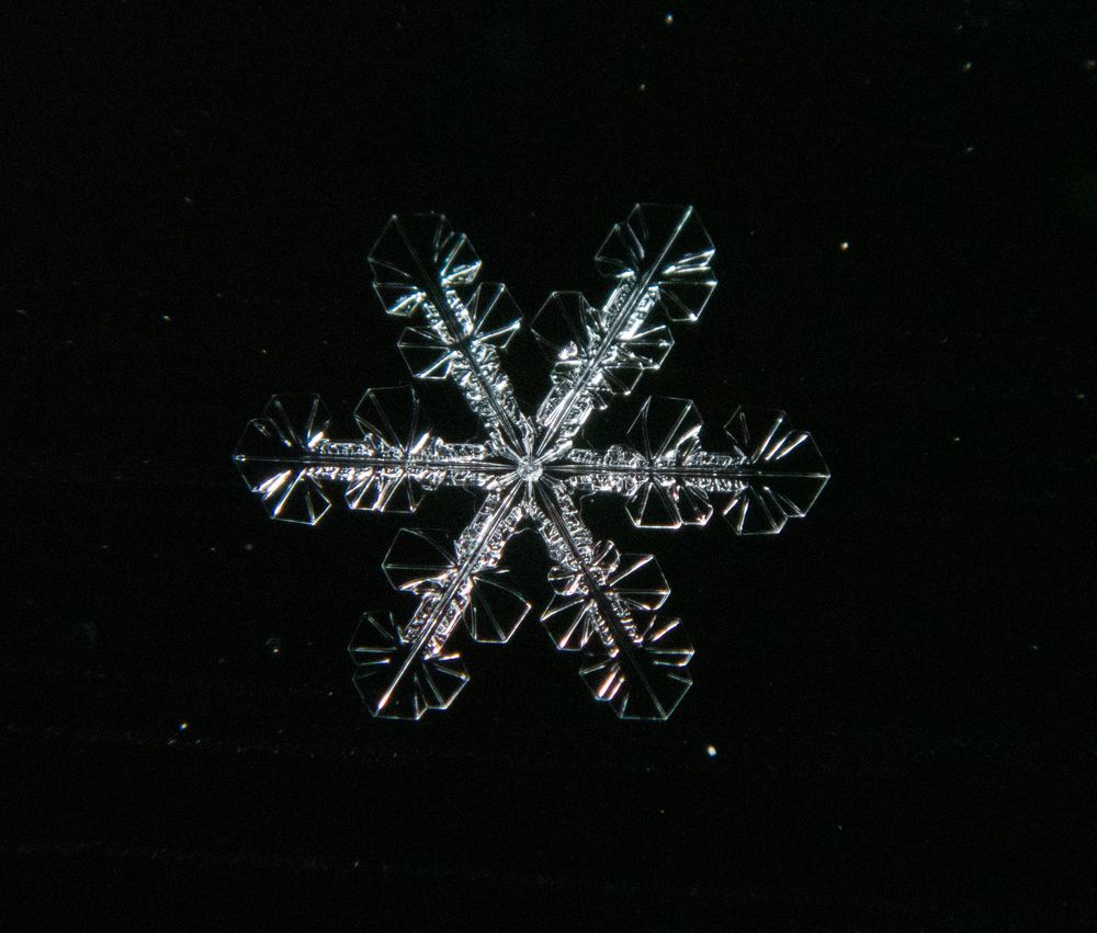 Photograph by Kate Maximenko