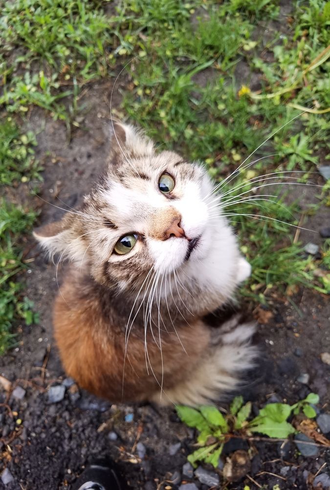 Photograph by Kate Maximenko