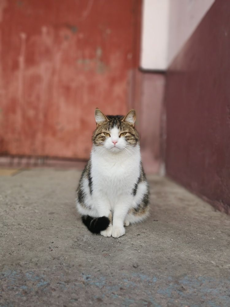 Photograph by Kate Maximenko