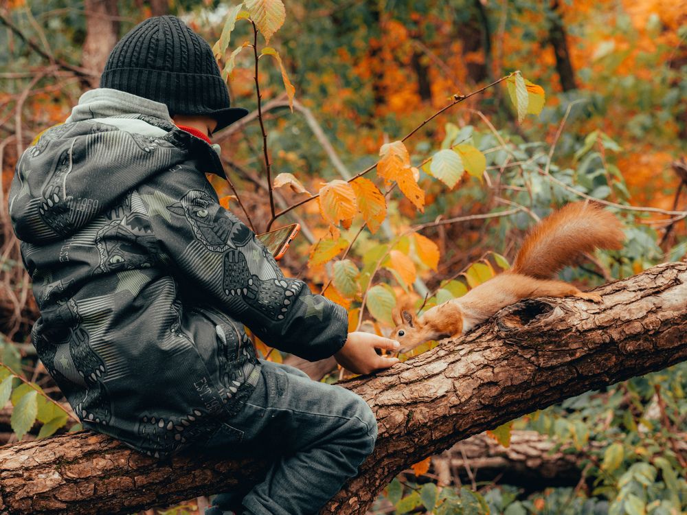 Photograph by Kate Maximenko