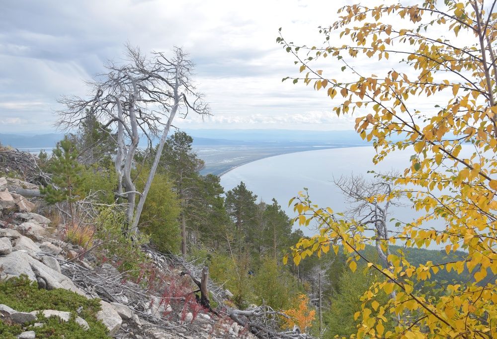 Photograph by smirnova sofya