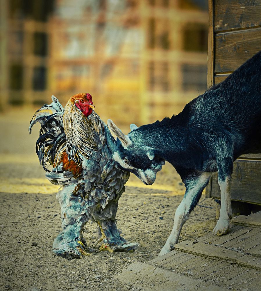 Photograph by Natalia Bolotenkova