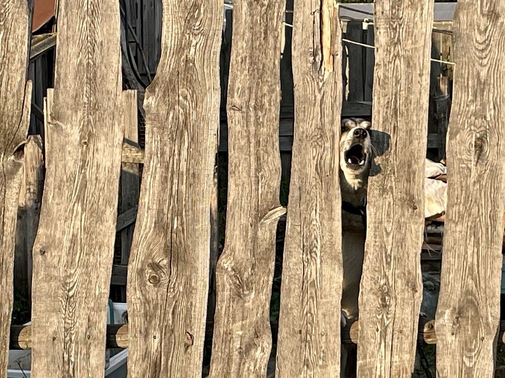 Photograph by Екатерина Шилкина