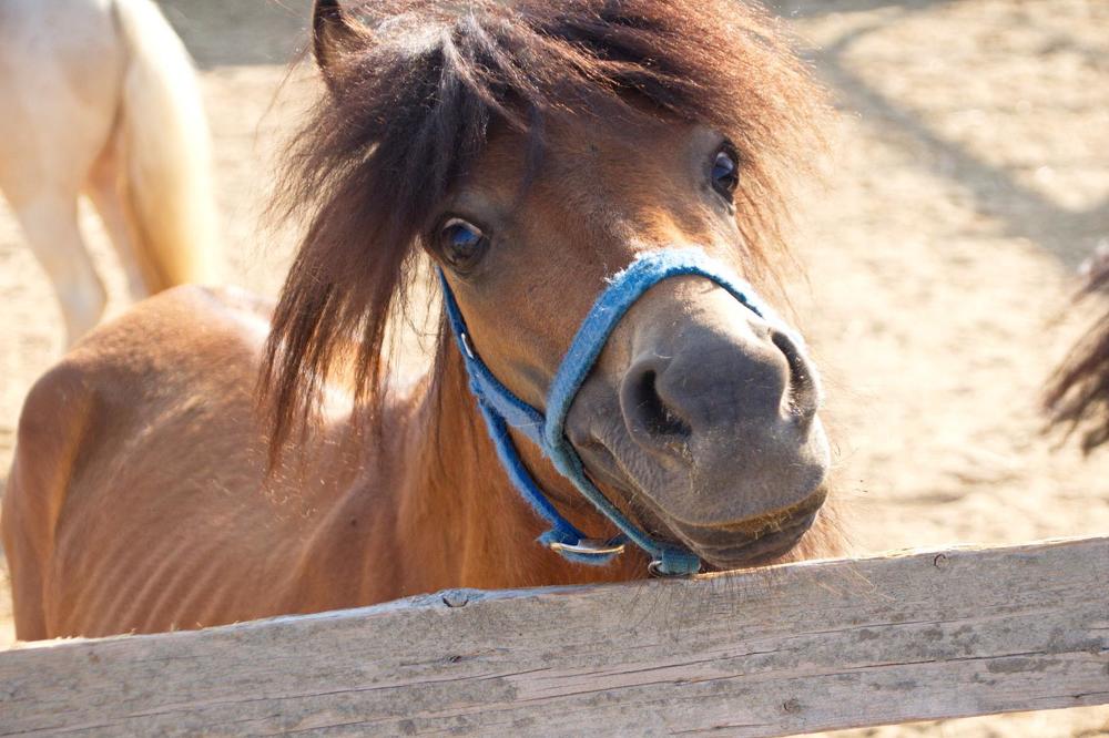 Photograph by Марина