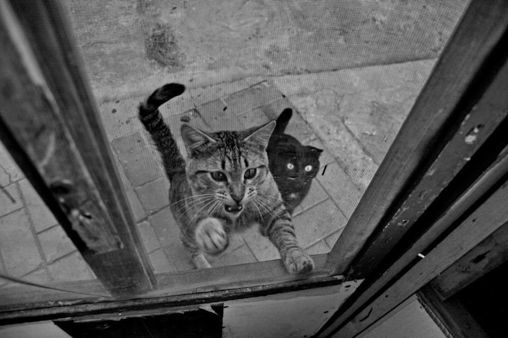 Photograph by Марина