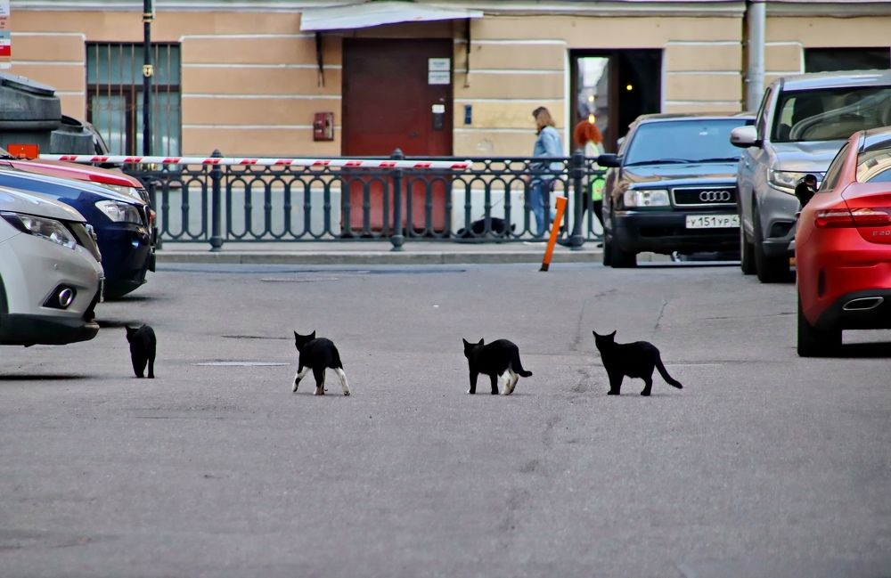 Photograph by Марина