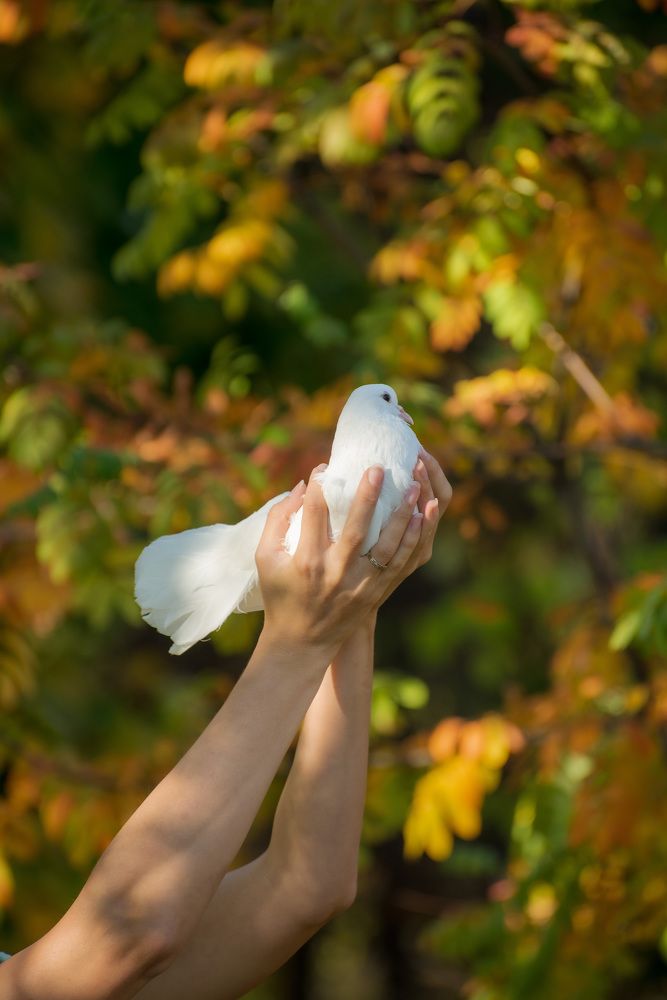 Photograph by Олег Титкин