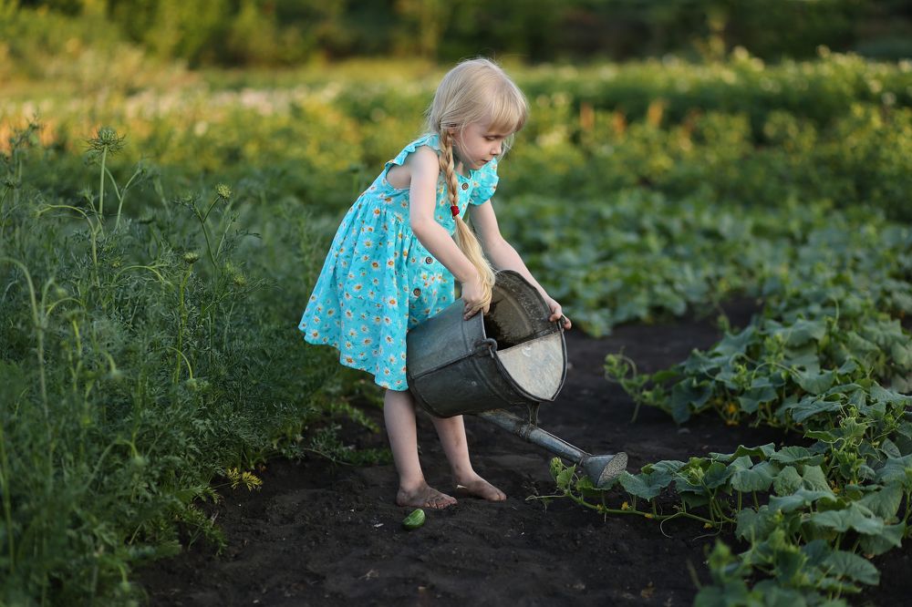 Photograph by Любовь Анисимова