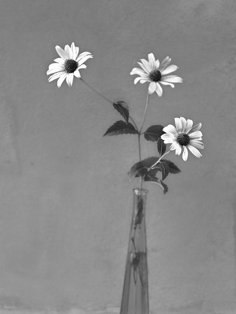 Photograph by Лариса Акинчиц