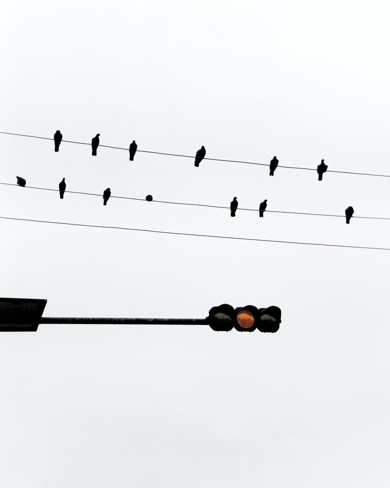 Photograph by Pradyumna Kumar Biswal