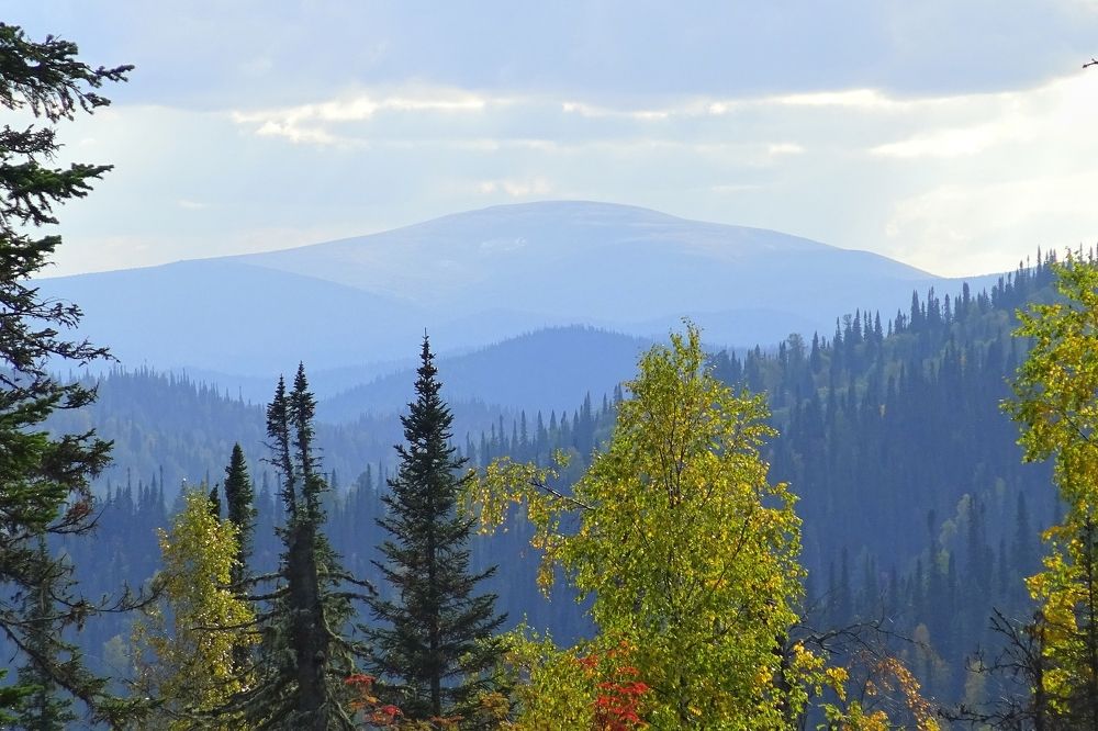 Осень в тайге