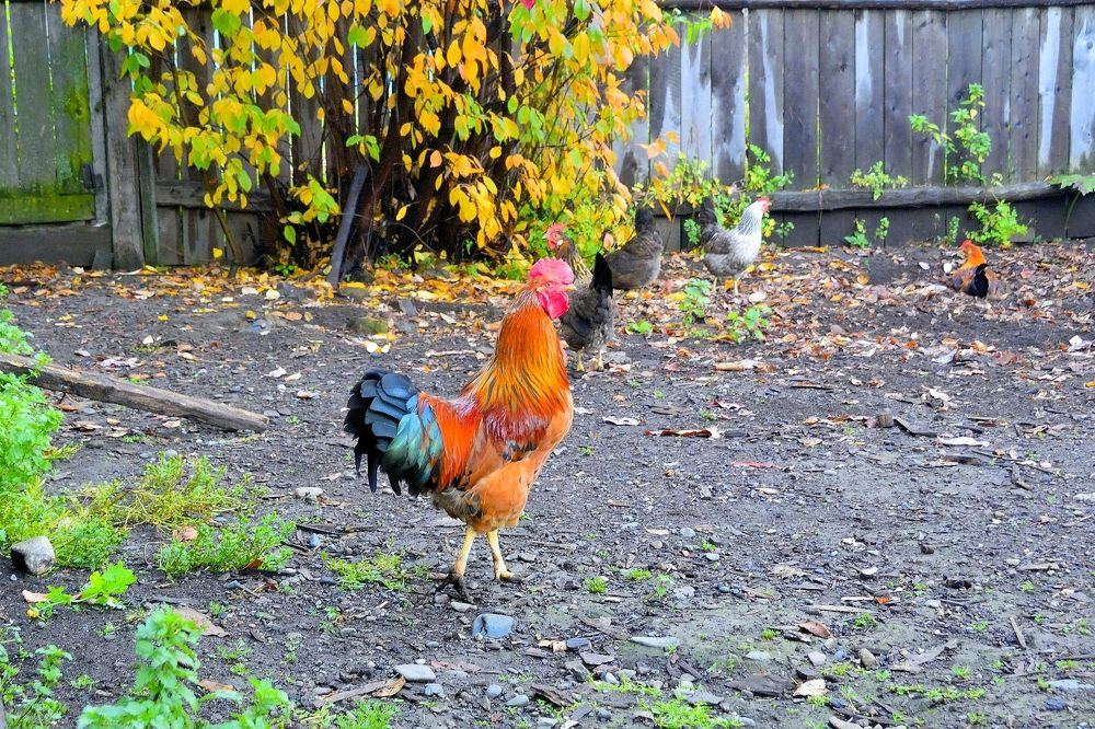 Photograph by Юрий Тимофеев