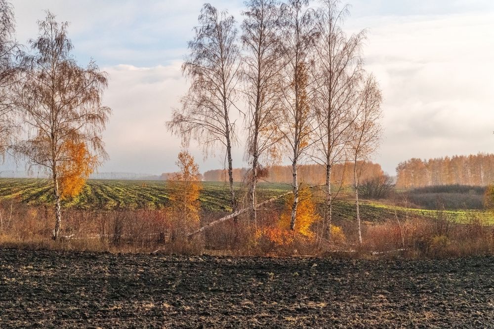 Осень на Брянщине