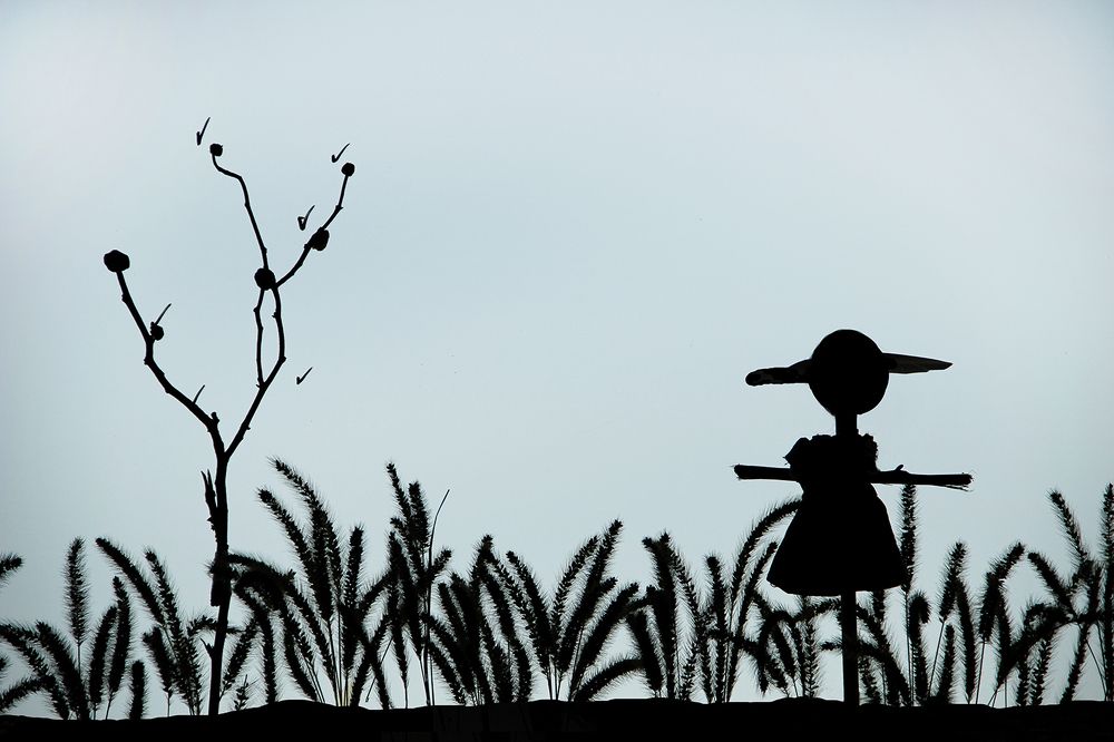 kind scarecrow