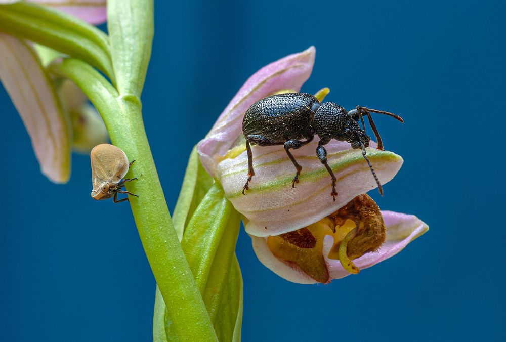 Photograph by Елена Нижегородцева