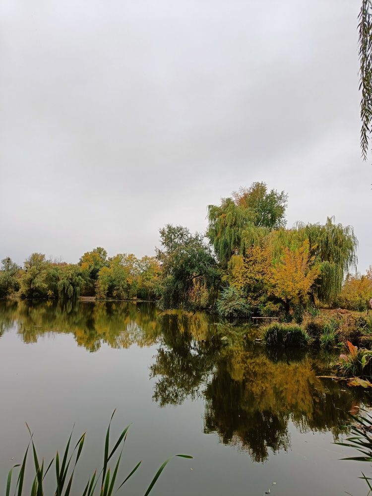 Photograph by Карина Слабкая