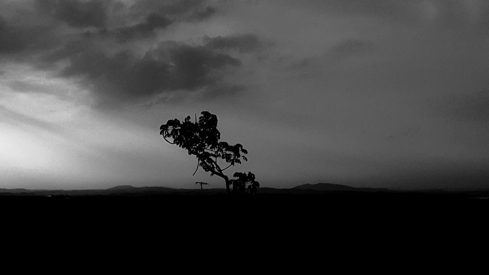 A força do Universo