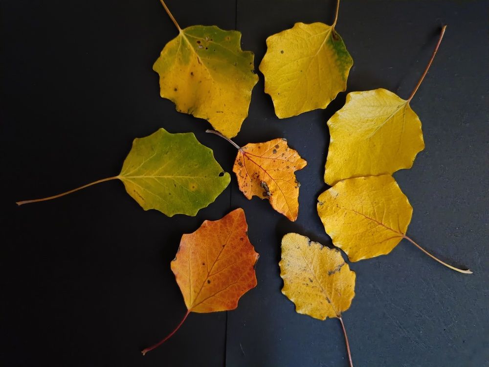 Photograph by Карина Слабкая