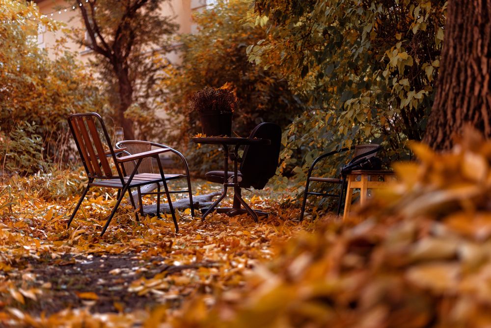 Photograph by Виталий Адуцкевич