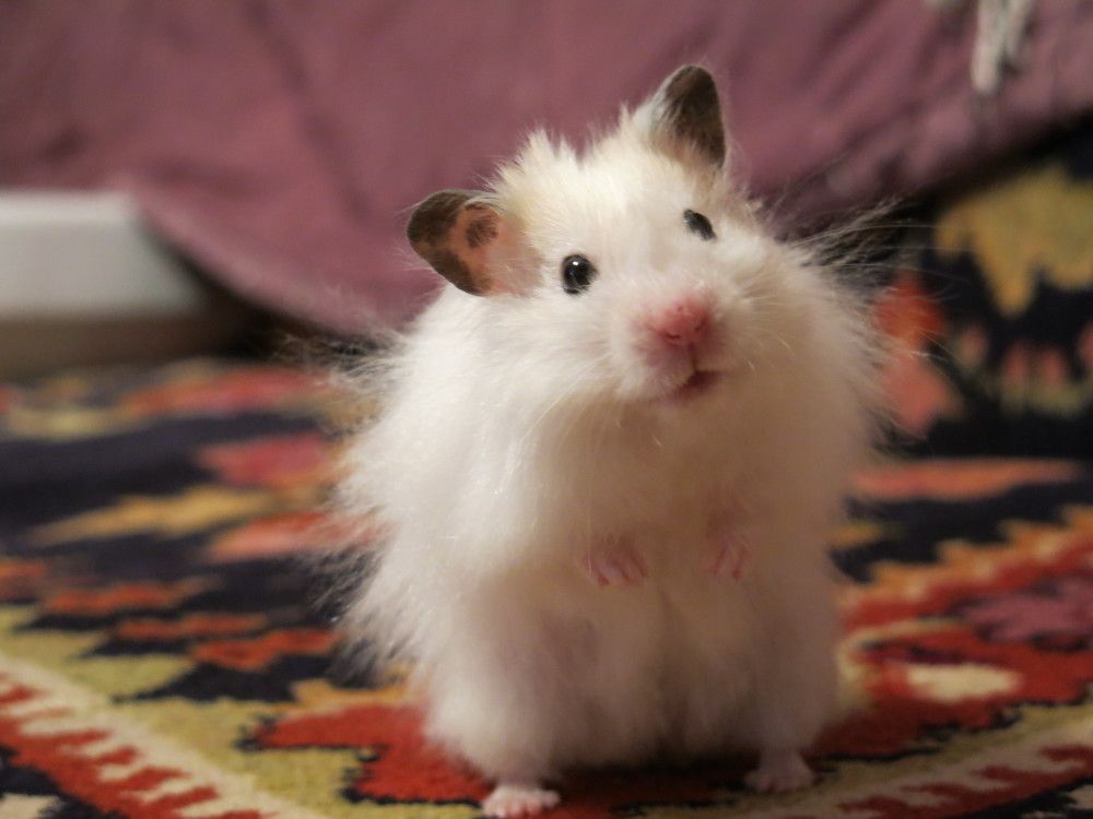 Photograph by ЭЛЬМИРА  ИСМАИЛОВА