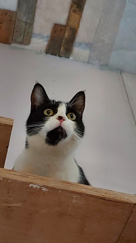 Photograph by ЭЛЬМИРА  ИСМАИЛОВА