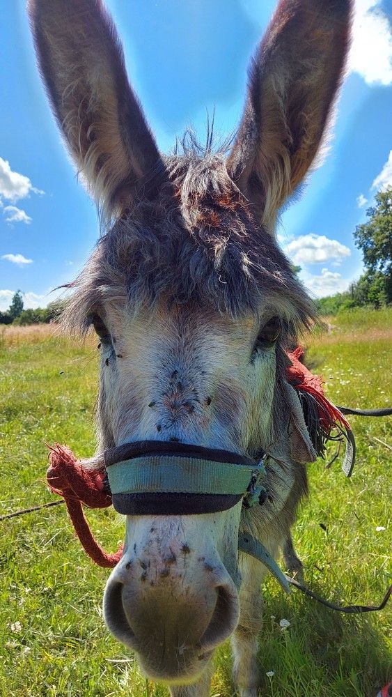 Photograph by ЭЛЬМИРА  ИСМАИЛОВА