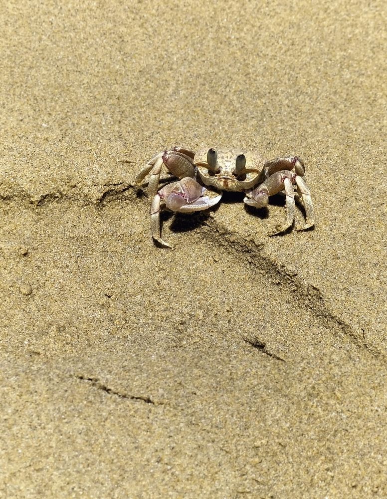 Фотография автора Bernadette Pretorius