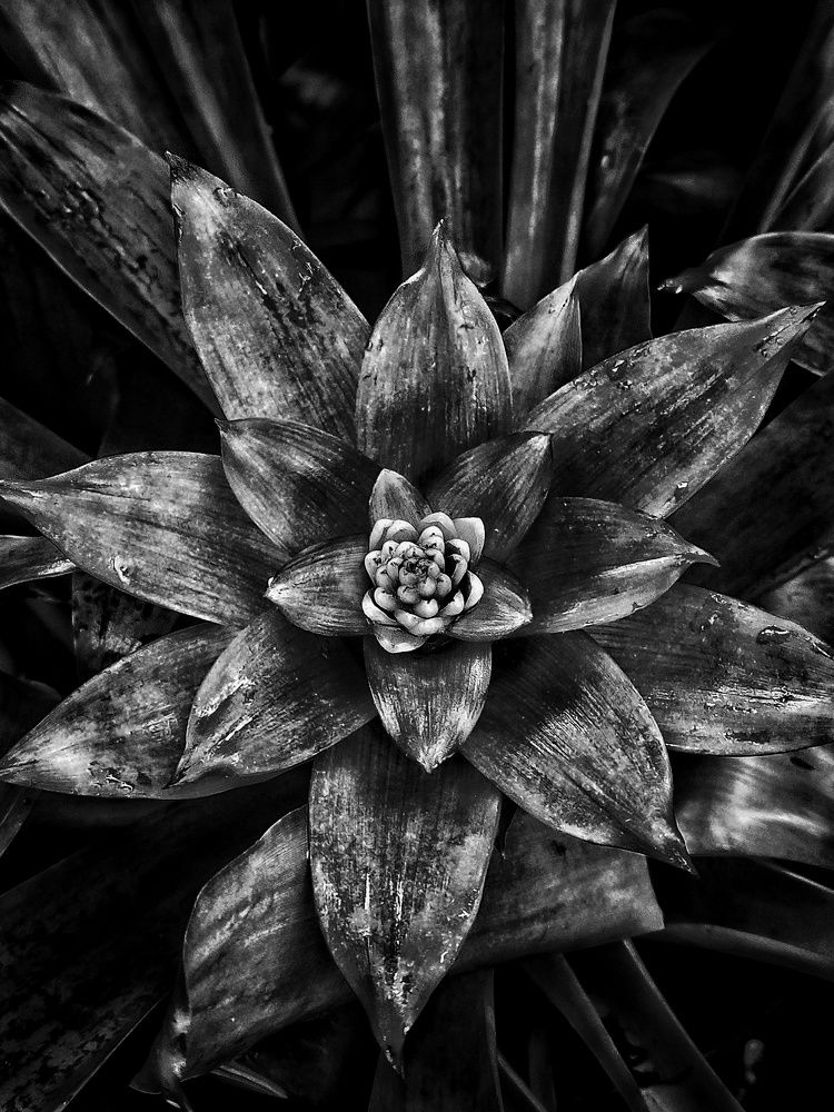 Фотография автора Julie Mishka