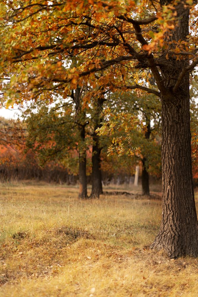 Photograph by Ирина Федорова