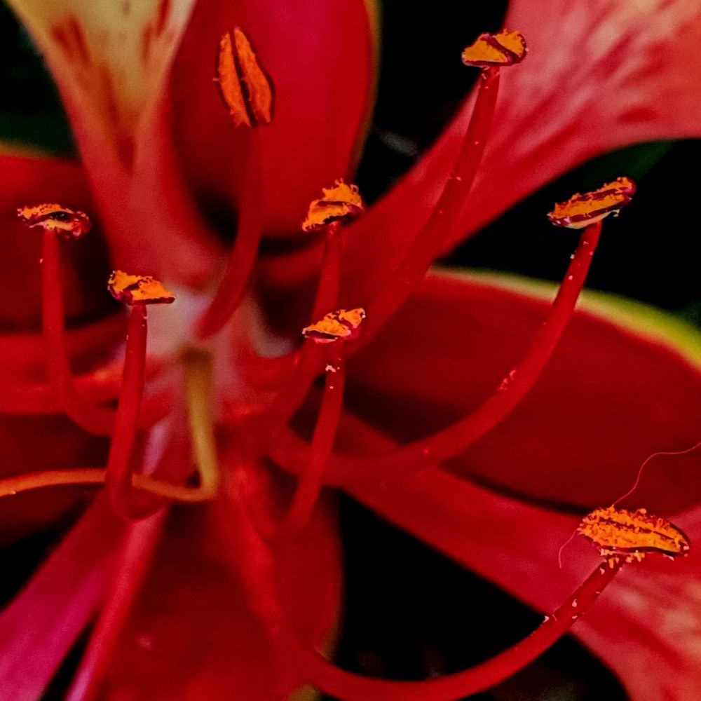 Photograph by adriana menez