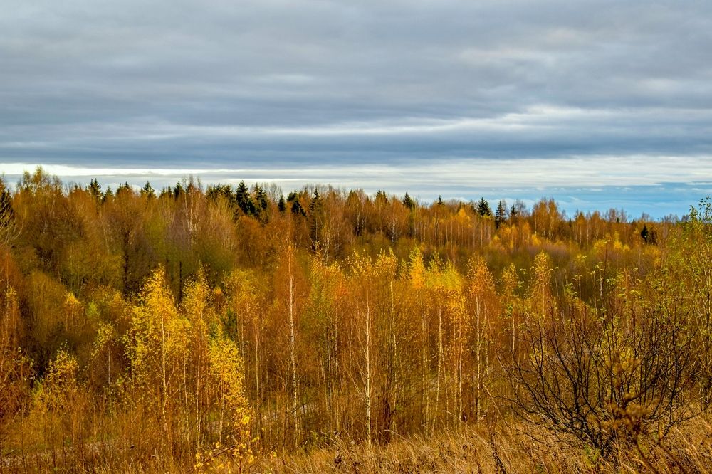 Photograph by Татьяна Шевцова