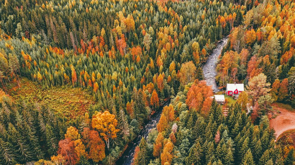 Photograph by Mohamad Ali