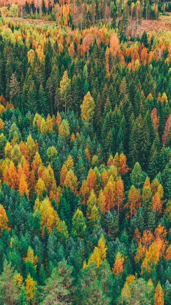 Photograph by Mohamad Ali