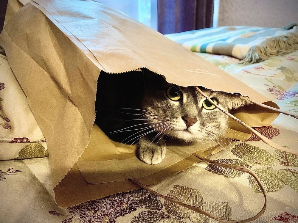 Photograph by Светлана Рашидова