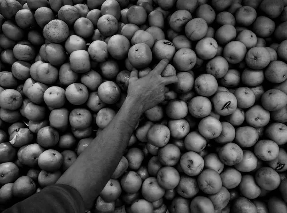 Photograph by Nurhildayati