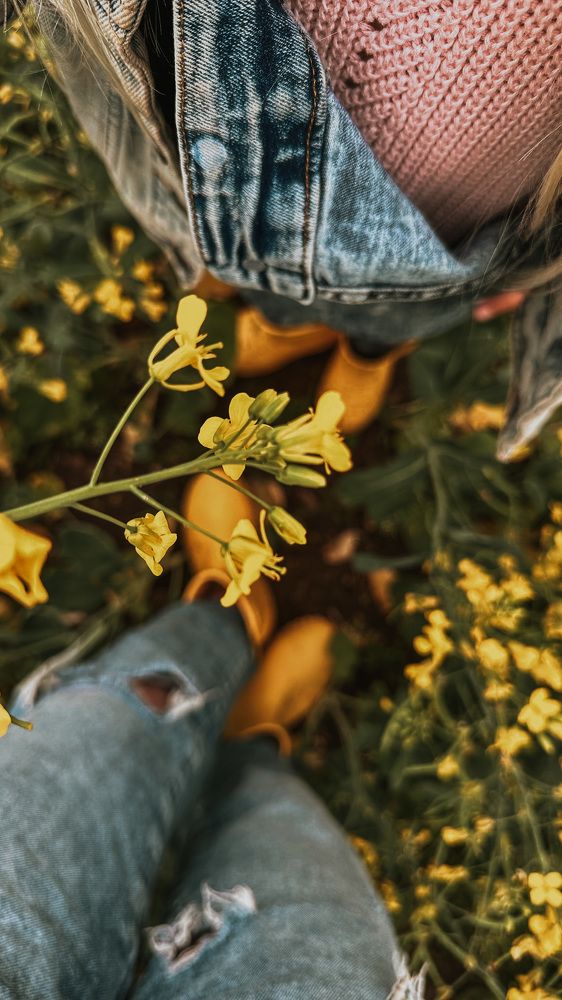 Photograph by Ольга