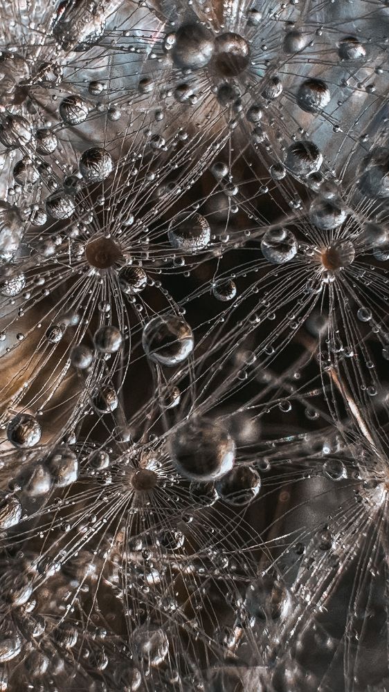 Photograph by Ольга