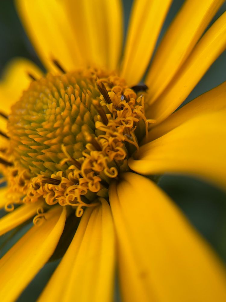 Photograph by Марина Тверитнева