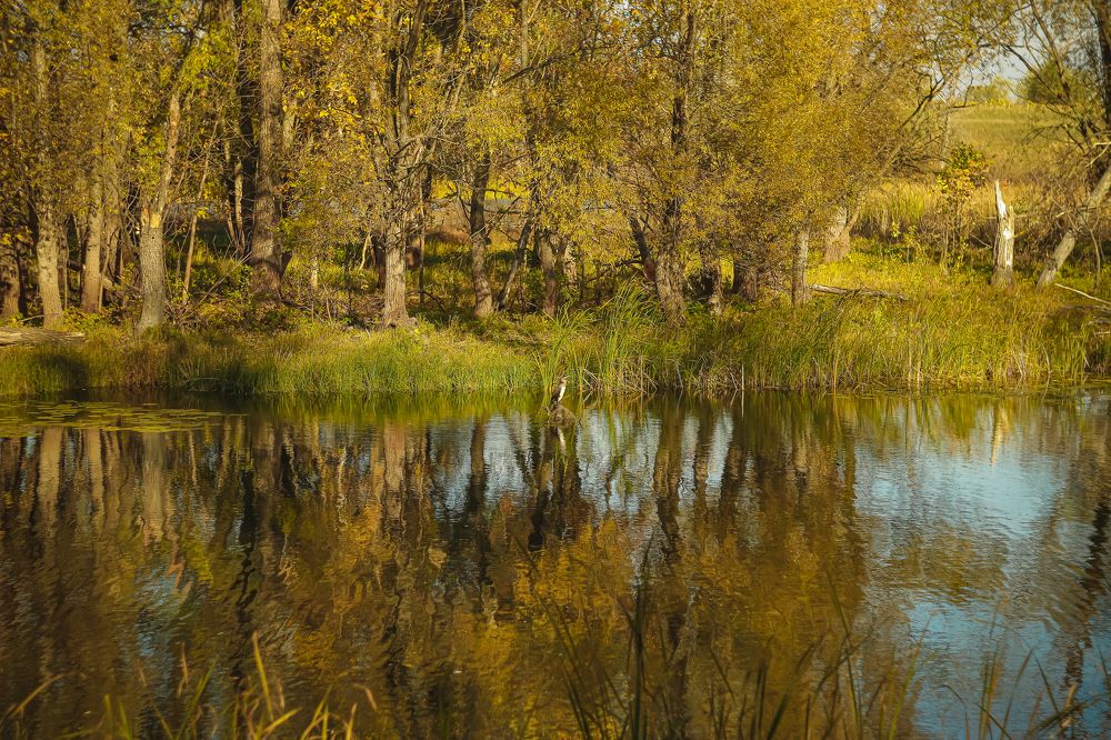 Photograph by Николай Кенгели