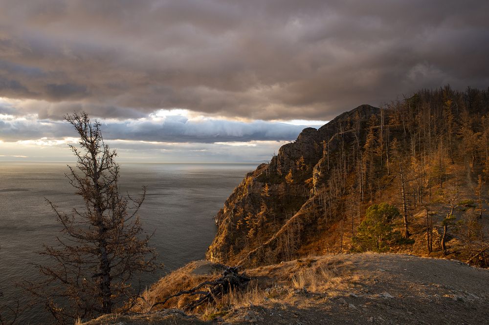 Утро октября