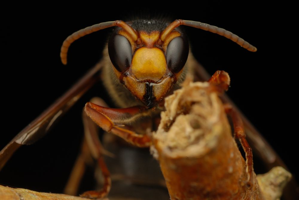 Photograph by Restito Carreon