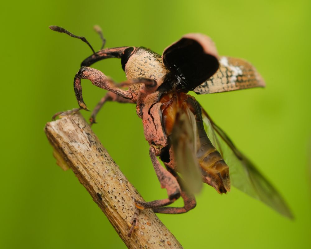 Photograph by Restito Carreon