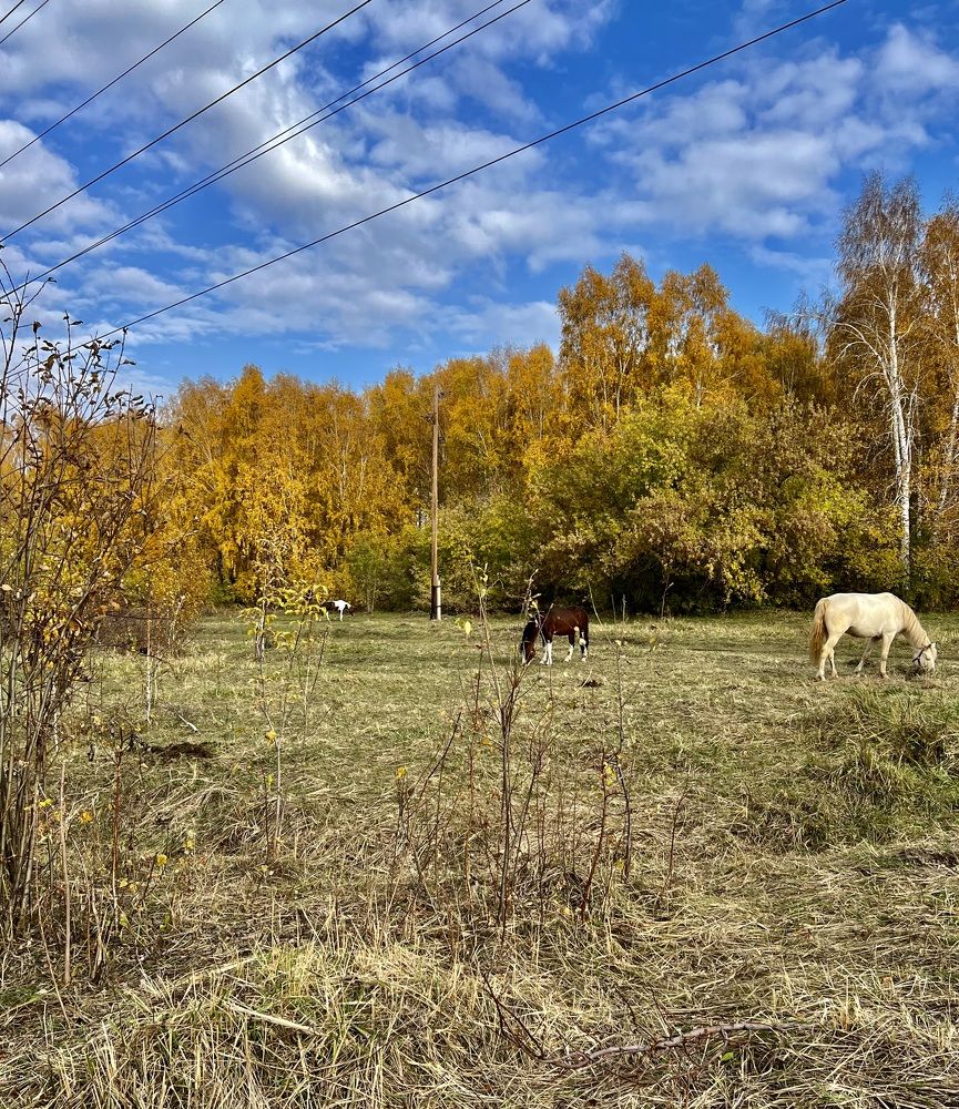 Photograph by Елена Мизина