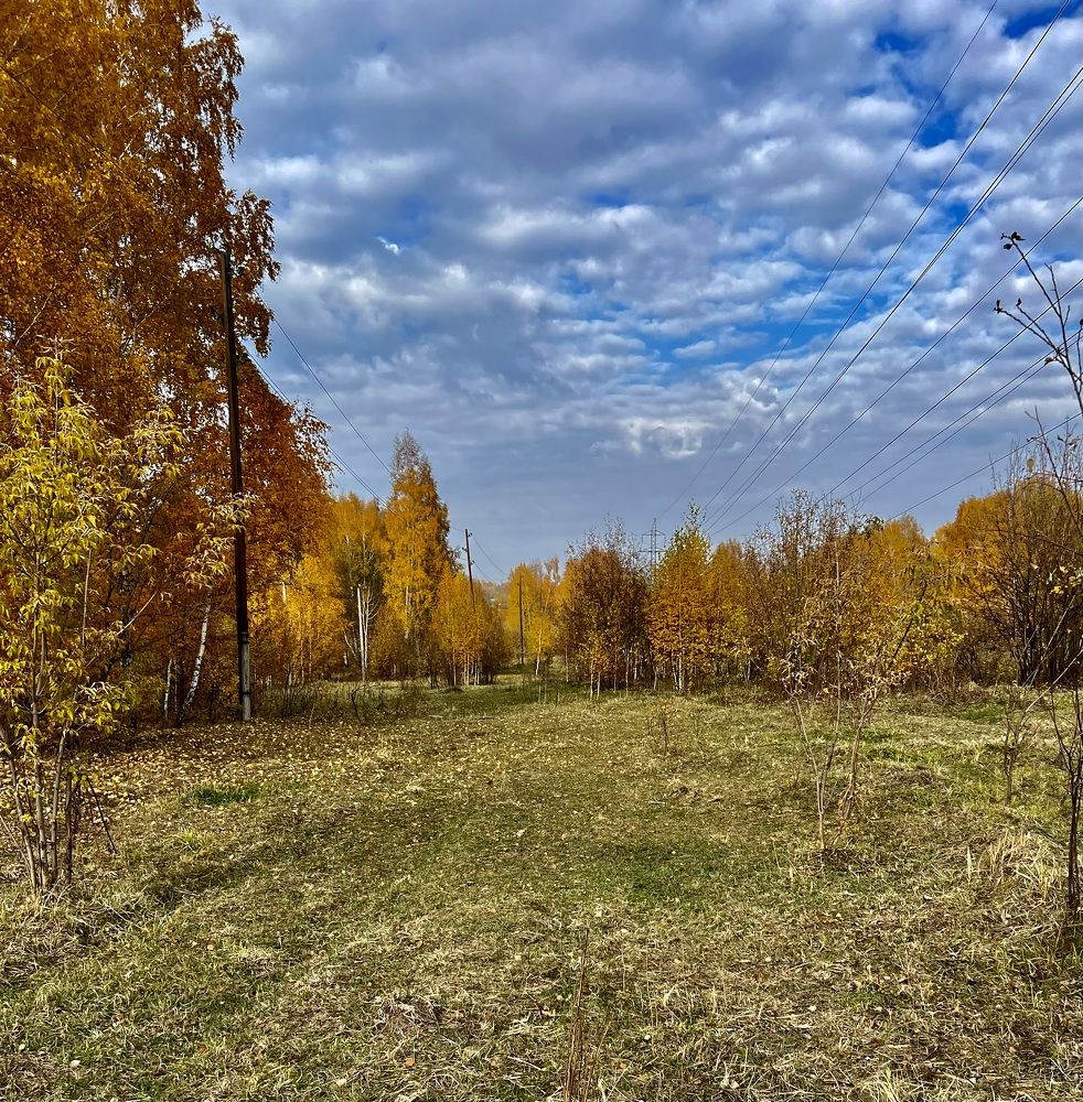 Photograph by Елена Мизина