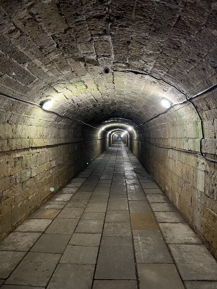 Photograph by Елена Мизина