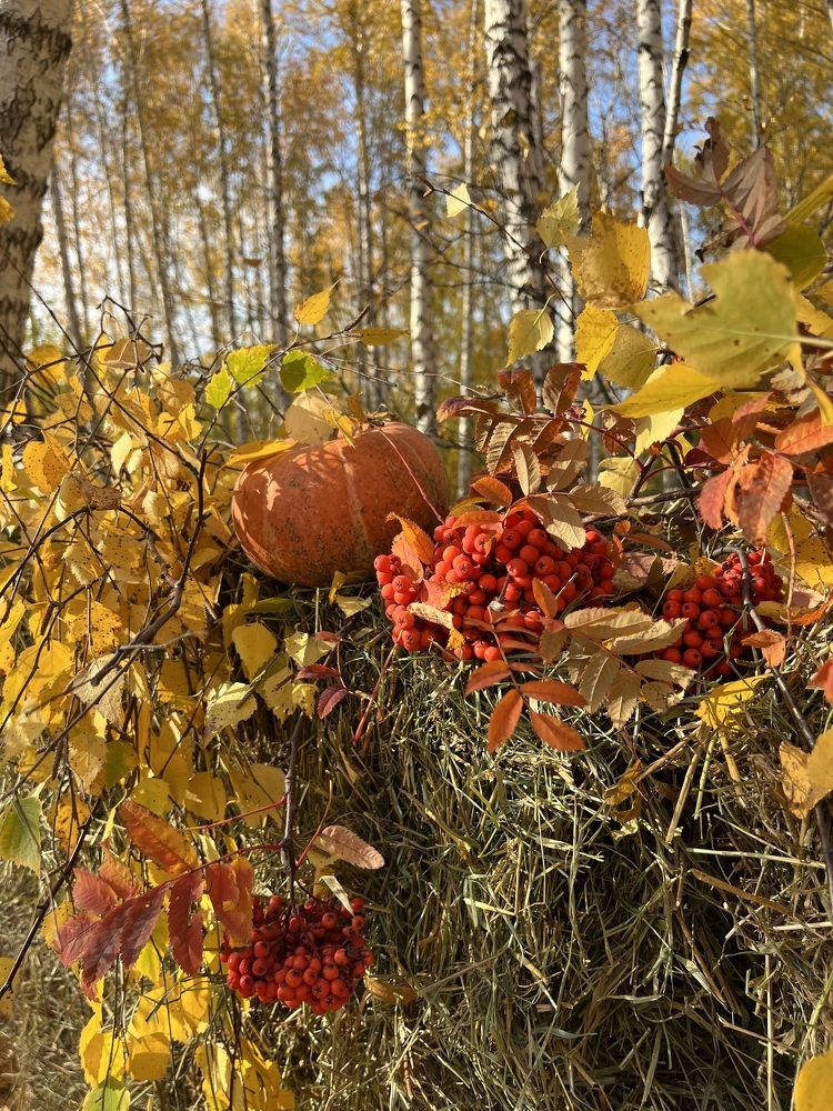 Photograph by Елена Мизина