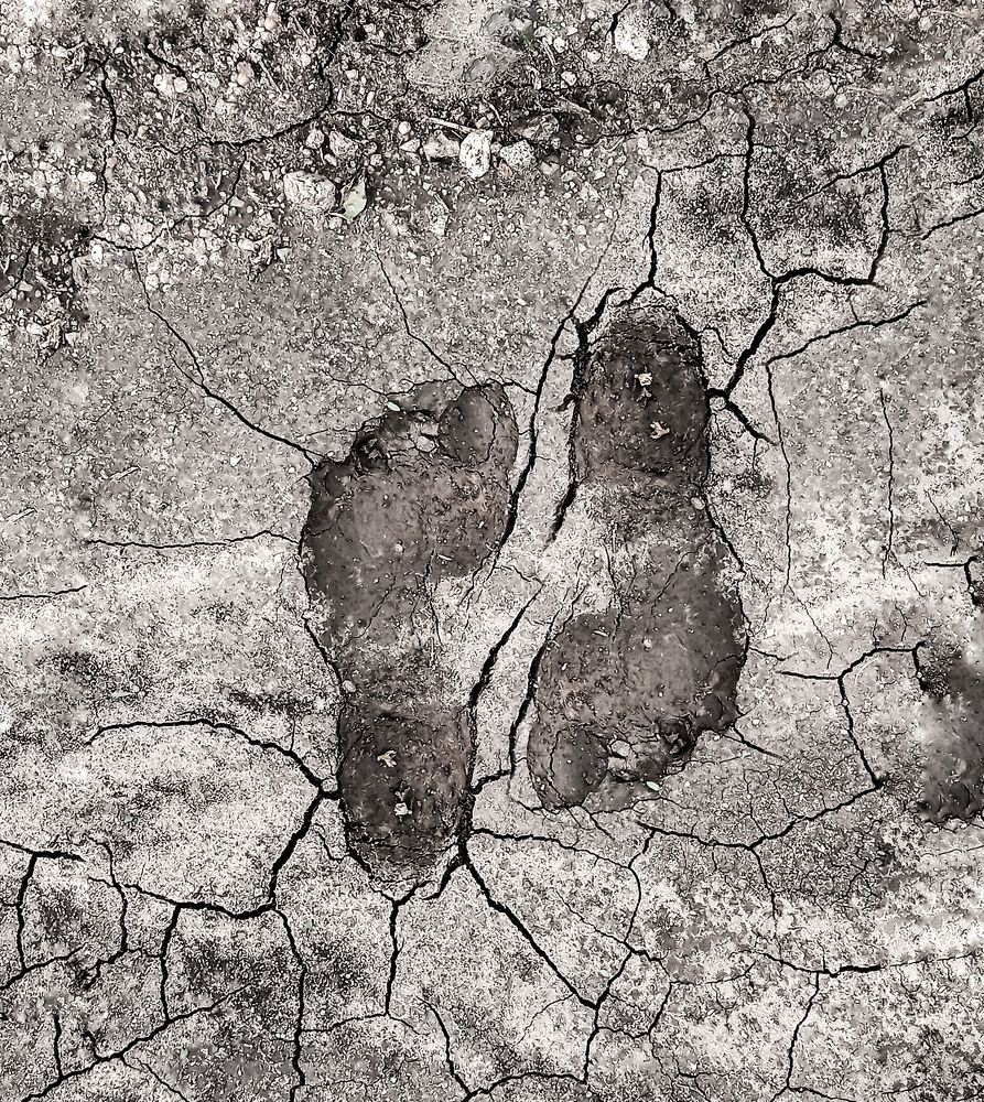 IMPRINTS