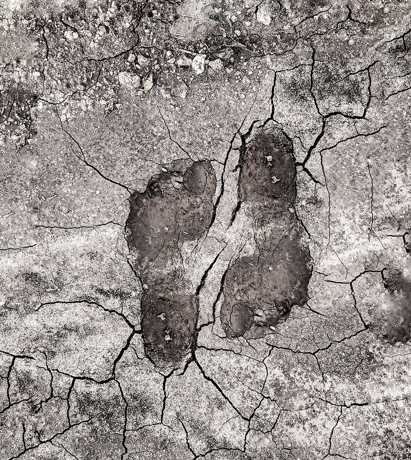 IMPRINTS